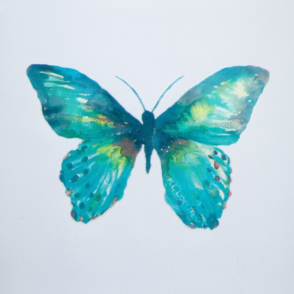 FLUXURY - Butterfly